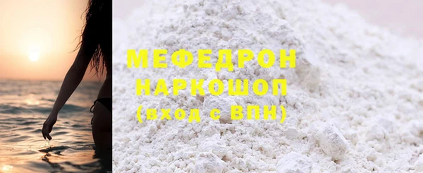 индика Новодвинск