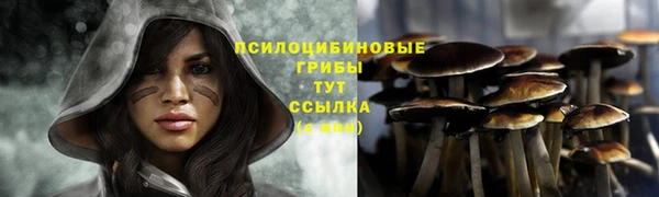 альфа пвп Нея
