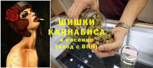 соль ск Переславль-Залесский